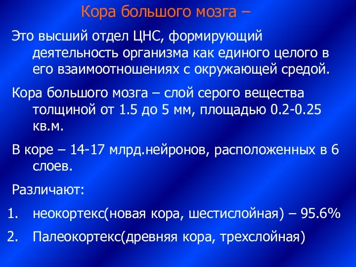 Кора большого мозга – Это высший отдел ЦНС, формирующий деятельность организма