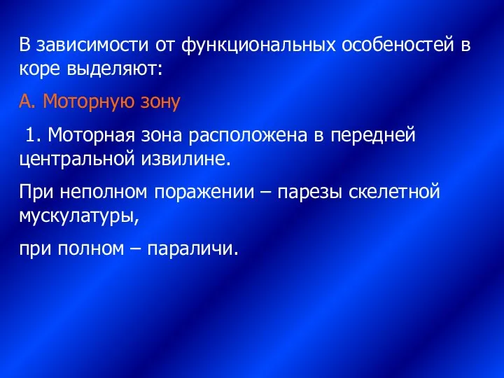 В зависимости от функциональных особеностей в коре выделяют: А. Моторную зону