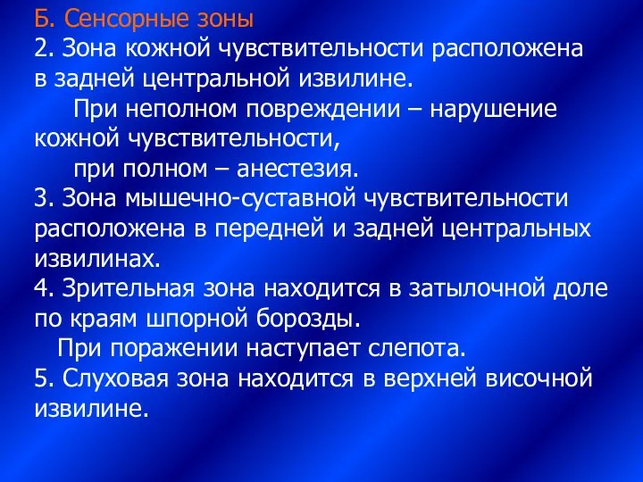 Б. Сенсорные зоны 2. Зона кожной чувствительности расположена в задней центральной