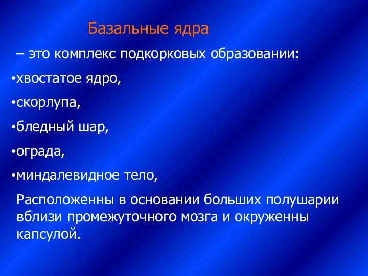 Базальные ядра – это комплекс подкорковых образовании: хвостатое ядро, скорлупа, бледный