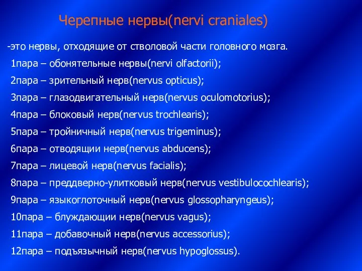 Черепные нервы(nervi craniales) это нервы, отходящие от стволовой части головного мозга.