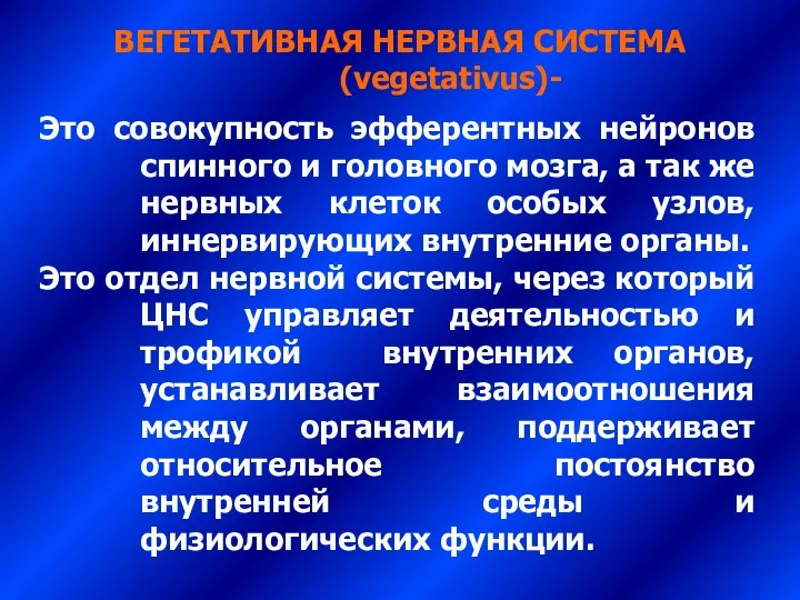 Это совокупность эфферентных нейронов спинного и головного мозга, а так же