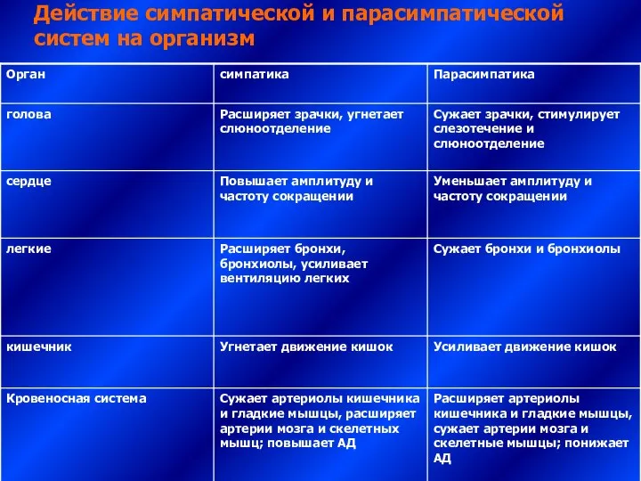 Действие симпатической и парасимпатической систем на организм