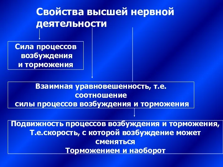 Свойства высшей нервной деятельности Сила процессов возбуждения и торможения Взаимная уравновешенность,