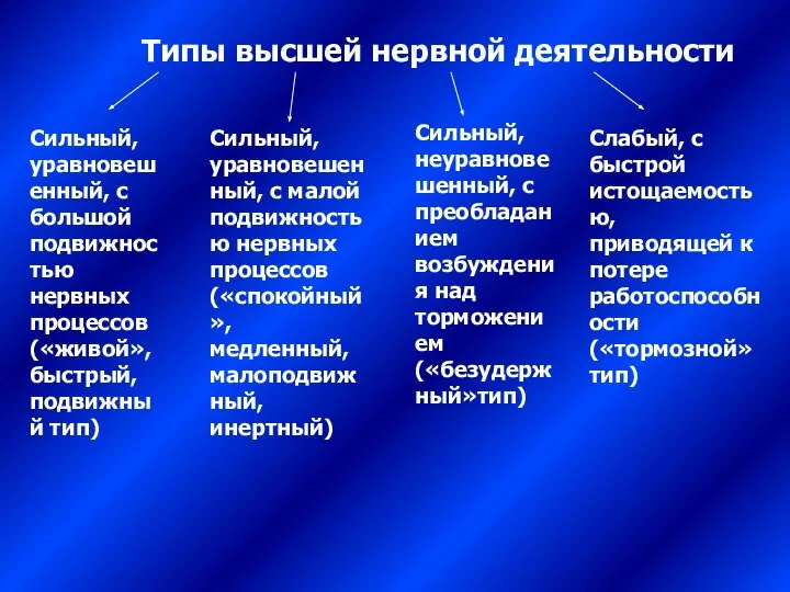 Типы высшей нервной деятельности Сильный, уравновешенный, с большой подвижностью нервных процессов