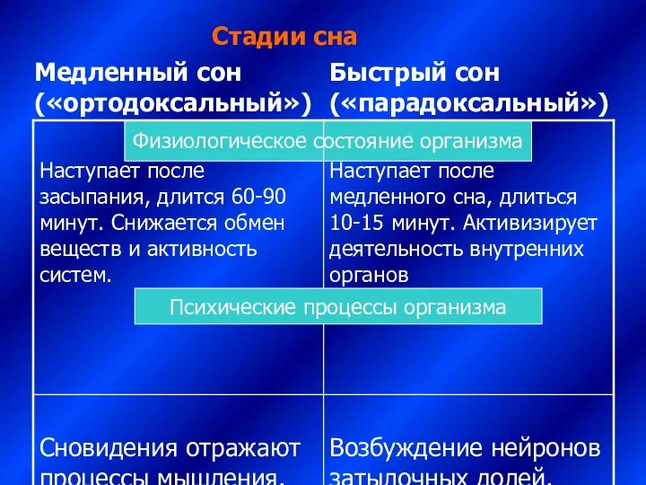 Стадии сна Медленный сон («ортодоксальный») Быстрый сон («парадоксальный») Физиологическое состояние организма Психические процессы организма