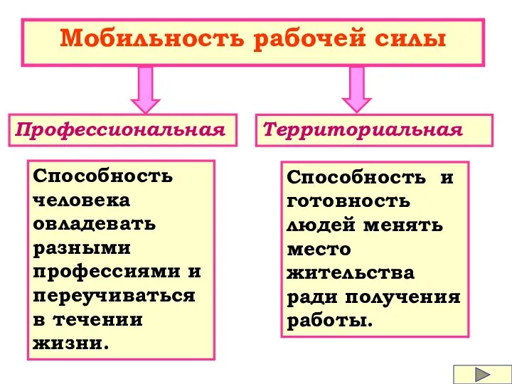 Мобильность рабочей силы Профессиональная Территориальная Способность человека овладевать разными профессиями и