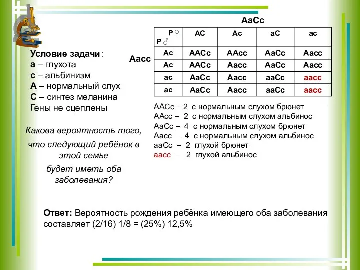 АаСс Аaсc Условие задачи: а – глухота с – альбинизм А