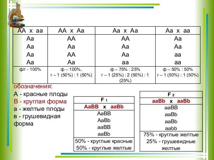 обозначения: А - красные плоды В - круглая форма а -