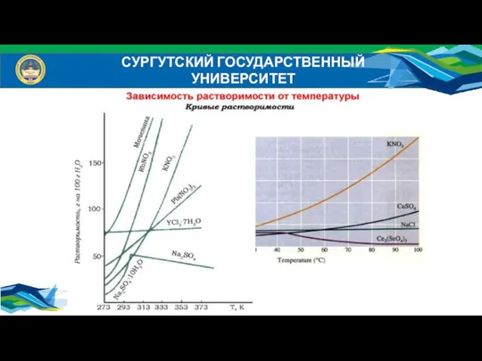 СУРГУТСКИЙ ГОСУДАРСТВЕННЫЙ УНИВЕРСИТЕТ