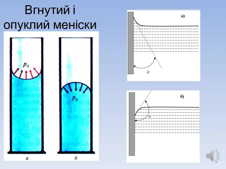 Вгнутий і опуклий меніски