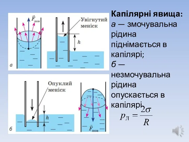 Капілярні явища: а — змочувальна рідина піднімається в капілярі; б — незмочувальна рідина опускається в капілярі