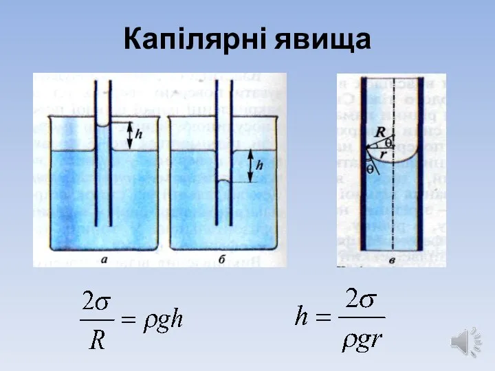 Капілярні явища