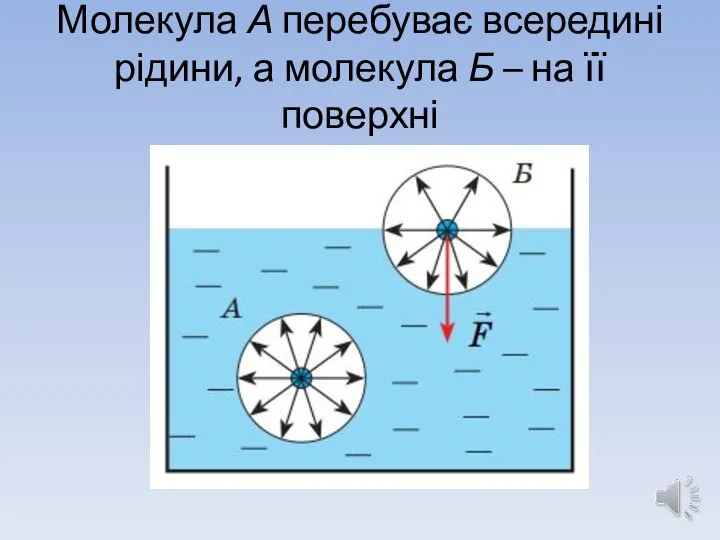 Молекула А перебуває всередині рідини, а молекула Б – на її поверхні