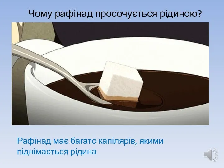 Чому рафінад просочується рідиною? Рафінад має багато капілярів, якими піднімається рідина