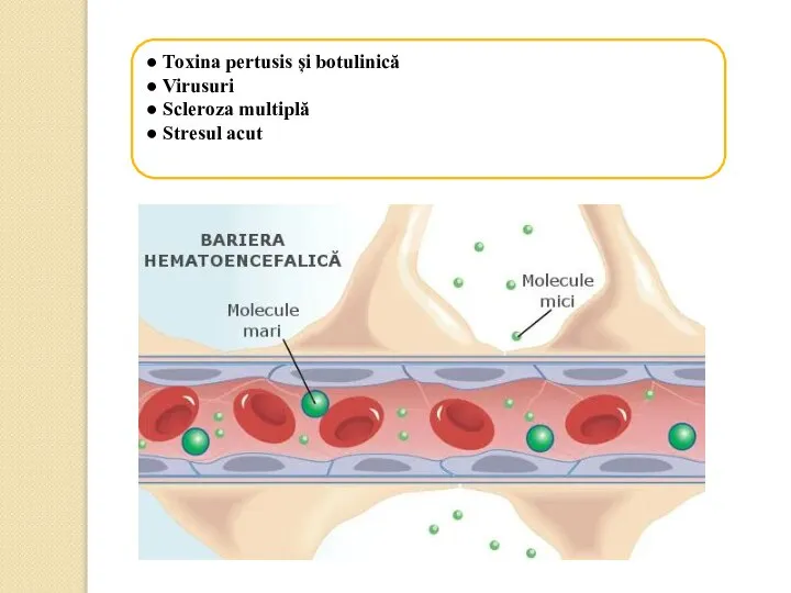 ● Toxina pertusis și botulinică ● Virusuri ● Scleroza multiplă ● Stresul acut