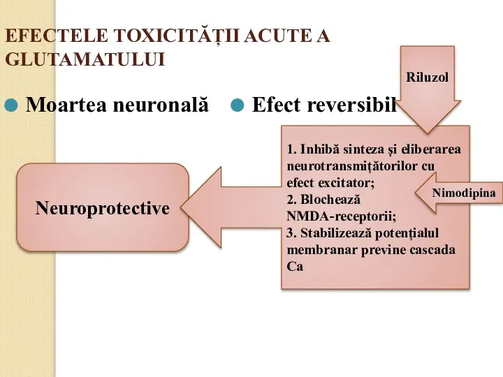 EFECTELE TOXICITĂȚII ACUTE A GLUTAMATULUI Moartea neuronală Efect reversibil Neuroprotective 1.