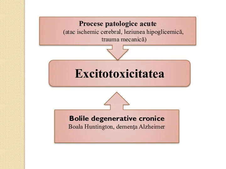 Excitotoxicitatea Procese patologice acute (atac ischemic cerebral, leziunea hipoglicemică, trauma mecanică)