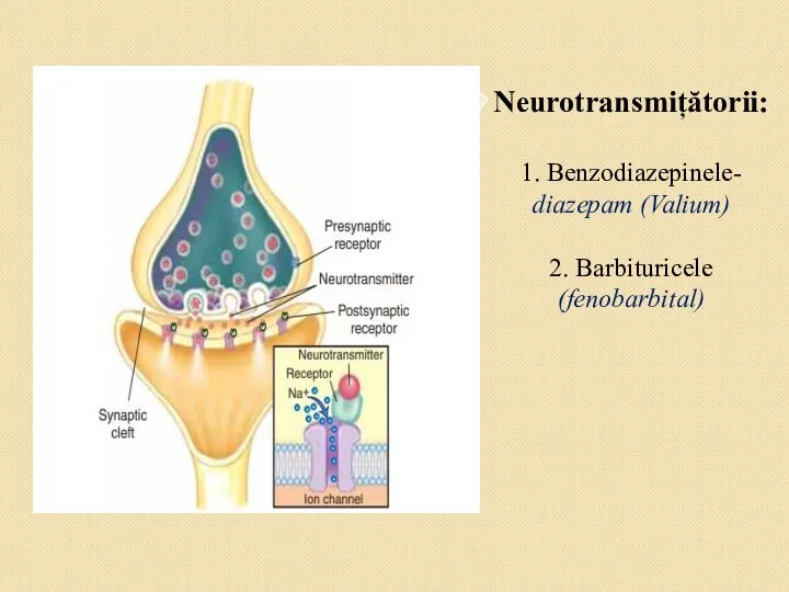 Neurotransmițătorii: 1. Benzodiazepinele- diazepam (Valium) 2. Barbituricele (fenobarbital)