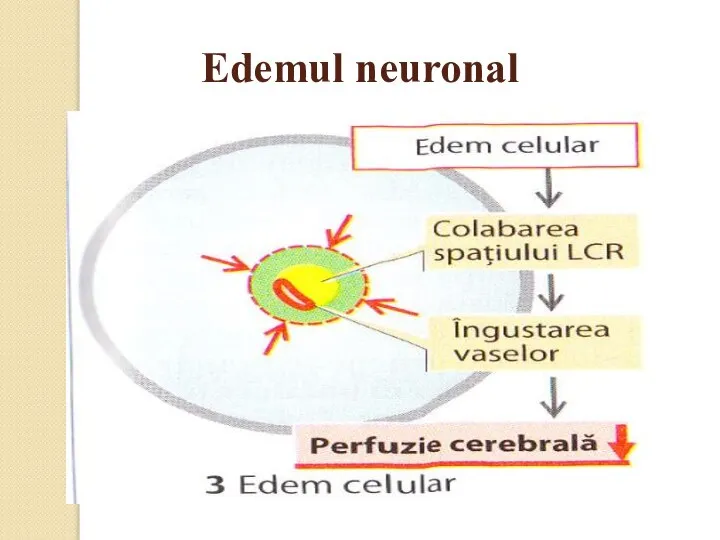 Edemul neuronal