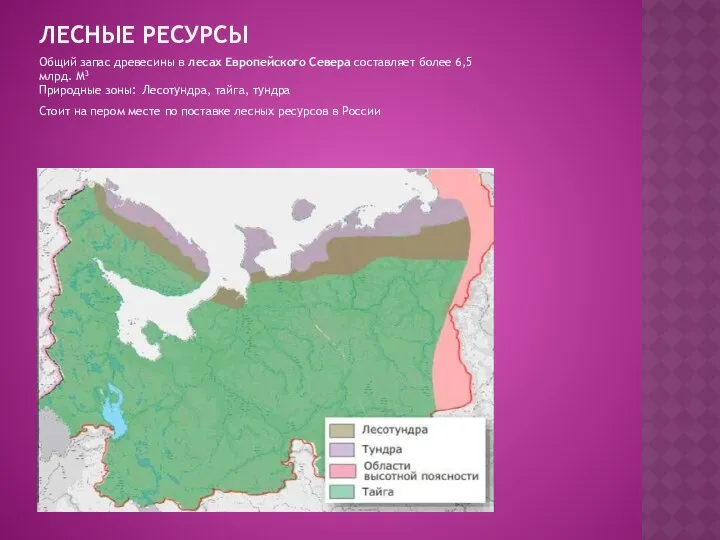 ЛЕСНЫЕ РЕСУРСЫ Общий запас древесины в лесах Европейского Севера составляет более