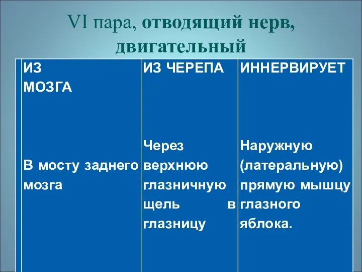 VI пара, отводящий нерв, двигательный