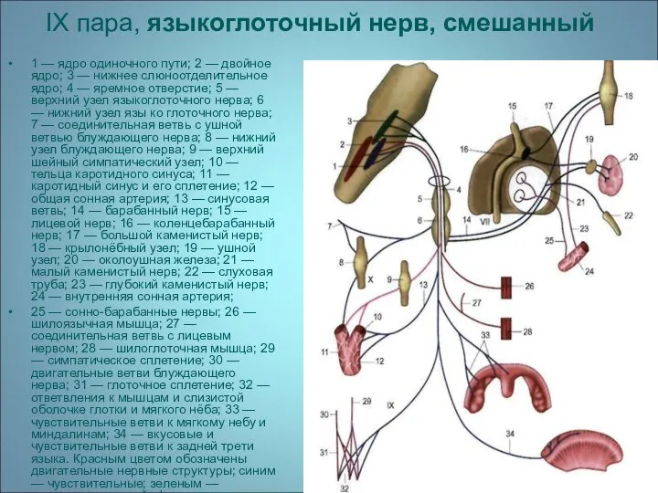 1 — ядро одиночного пути; 2 — двойное ядро; 3 —