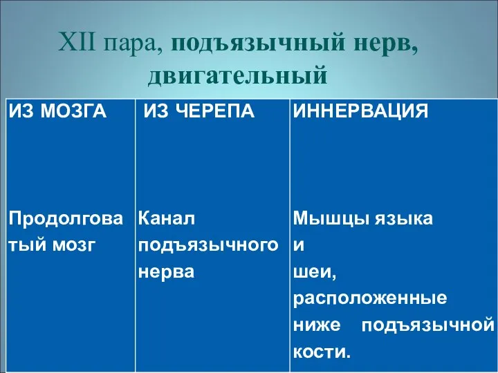 XII пара, подъязычный нерв, двигательный