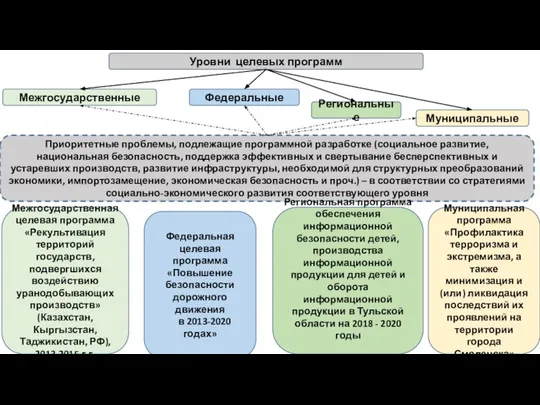 Уровни целевых программ Межгосударственные Федеральные Региональные Приоритетные проблемы, подлежащие программной разработке