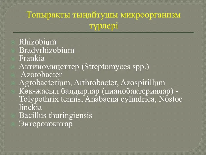 Топырақты тыңайтушы микроорганизм түрлері Rhizobium Bradyrhizobium Frankia Актиномицеттер (Streptomyces spp.) Azotobacter