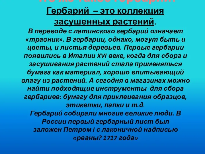 Что же такое гербарий? Гербарий – это коллекция засушенных растений. В