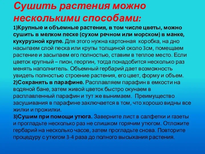 Сушить растения можно несколькими способами: 1)Крупные и объемные растения, в том