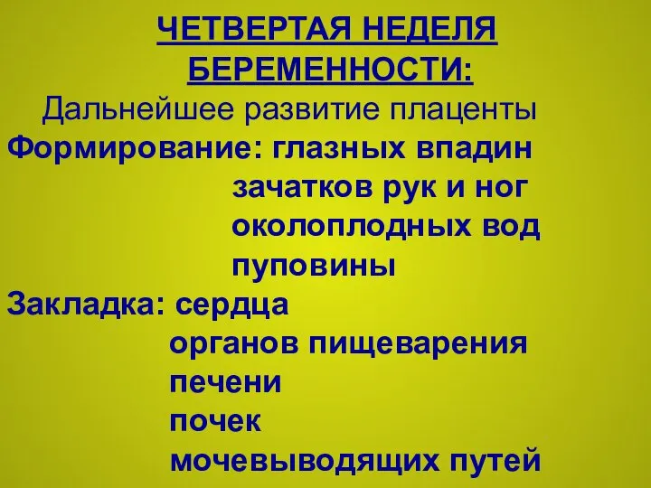 ЧЕТВЕРТАЯ НЕДЕЛЯ БЕРЕМЕННОСТИ: Дальнейшее развитие плаценты Формирование: глазных впадин зачатков рук