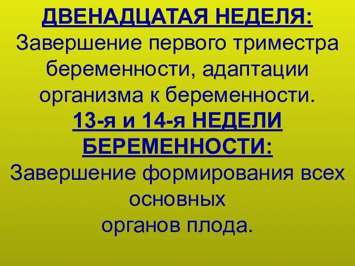 ДВЕНАДЦАТАЯ НЕДЕЛЯ: Завершение первого триместра беременности, адаптации организма к беременности. 13-я