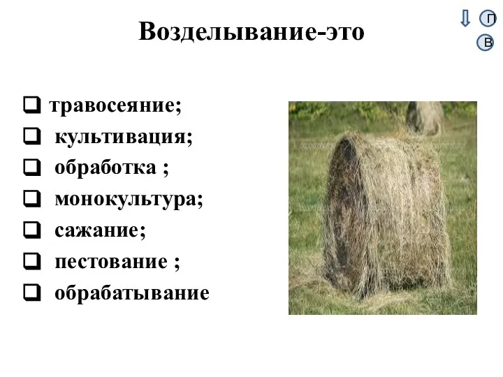 Возделывание-это травосеяние; культивация; обработка ; монокультура; сажание; пестование ; обрабатывание П В