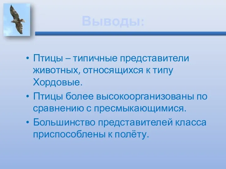 Выводы: Птицы – типичные представители животных, относящихся к типу Хордовые. Птицы