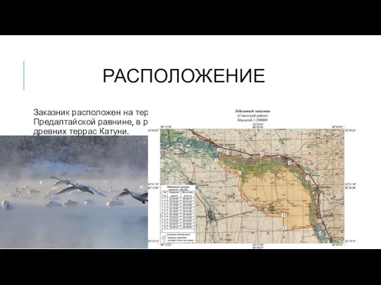 РАСПОЛОЖЕНИЕ Заказник расположен на территории Советского района, на Предалтайской равнине, в