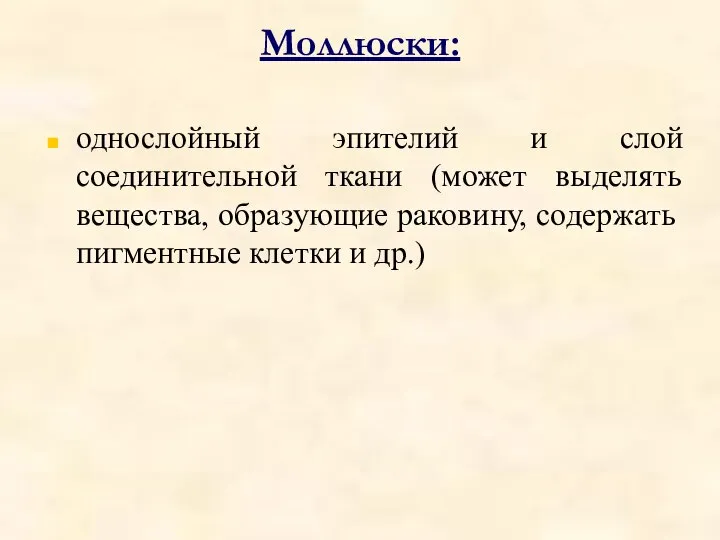 Моллюски: однослойный эпителий и слой соединительной ткани (может выделять вещества, образующие