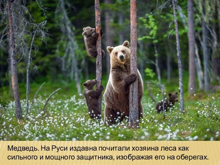 Медведь. На Руси издавна почитали хозяина леса как сильного и мощного защитника, изображая его на оберегах.