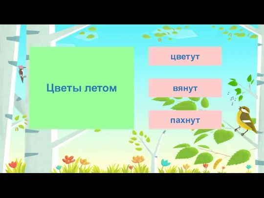 Цветы летом цветут вянут пахнут