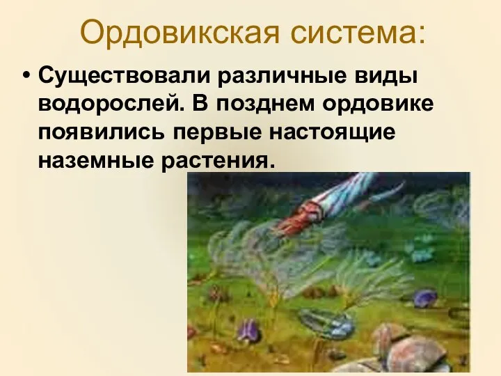 Ордовикская система: Существовали различные виды водорослей. В позднем ордовике появились первые настоящие наземные растения.