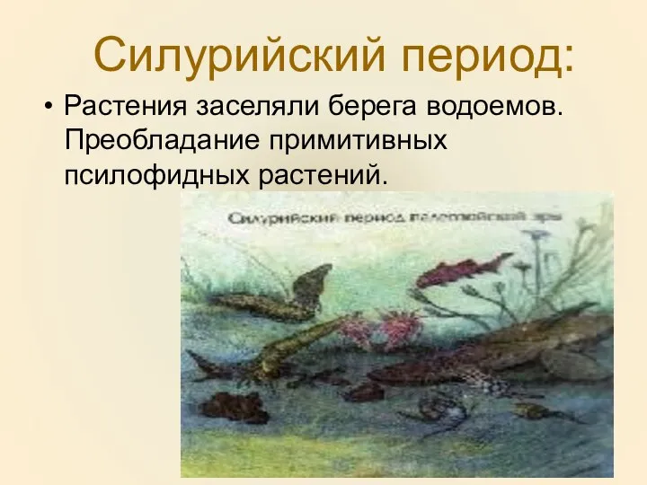 Силурийский период: Растения заселяли берега водоемов. Преобладание примитивных псилофидных растений.