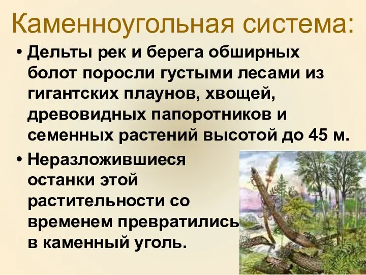 Каменноугольная система: Дельты рек и берега обширных болот поросли густыми лесами