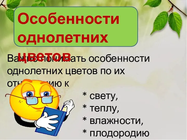 Важно понимать особенности однолетних цветов по их отношению к * свету,