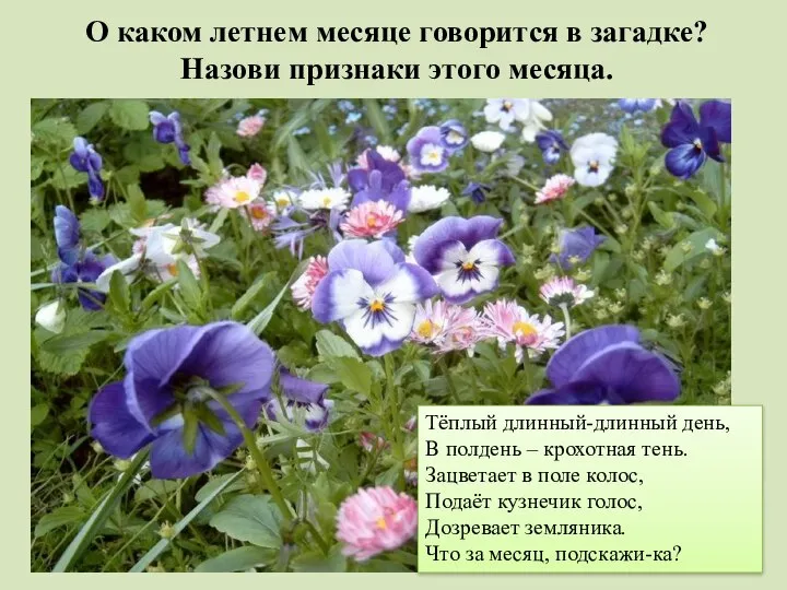 О каком летнем месяце говорится в загадке? Назови признаки этого месяца.