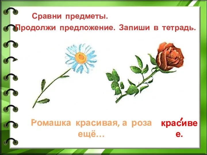 Ромашка красивая, а роза ещё… красивее. Сравни предметы. Продолжи предложение. Запиши в тетрадь.