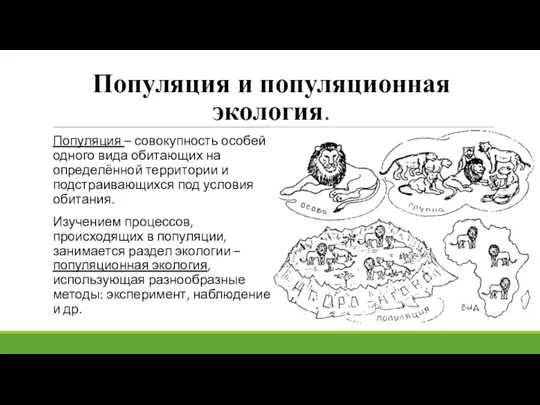 Популяция и популяционная экология. Популяция – совокупность особей одного вида обитающих