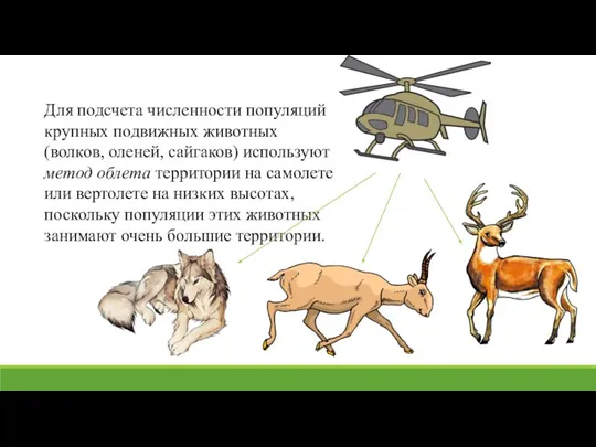 Для подсчета численности популяций крупных подвижных животных (волков, оленей, сайгаков) используют