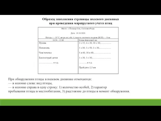 Образец заполнения страницы полевого дневника при проведении маршрутного учета птиц При