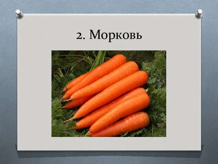 2. Морковь